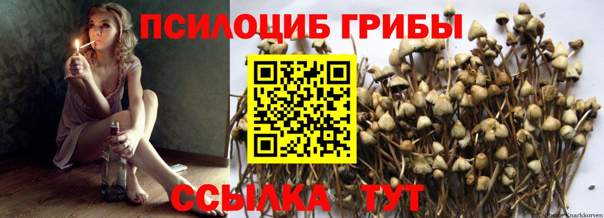 Галлюциногенные грибы Cubensis Северобайкальск