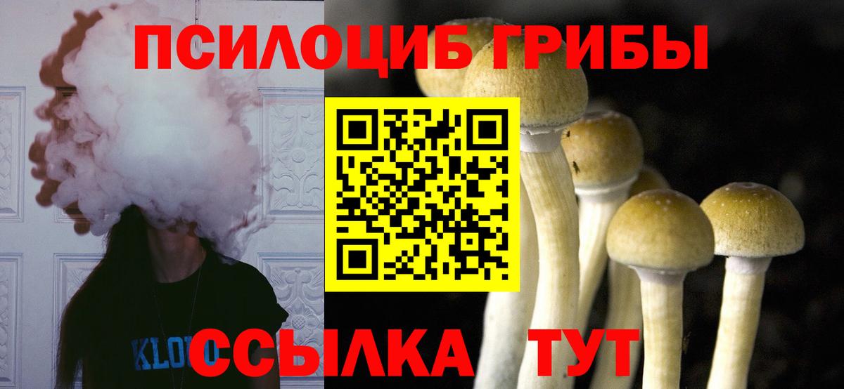 Псилоцибиновые грибы GOLDEN TEACHER  Вход с VPN  Северобайкальск 